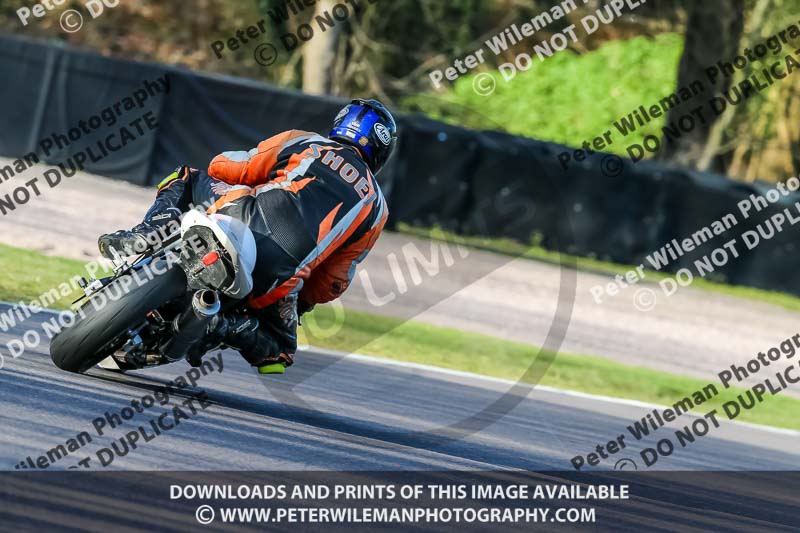 Oulton Park 20th March 2020;PJ Motorsport Photography 2020;anglesey;brands hatch;cadwell park;croft;donington park;enduro digital images;event digital images;eventdigitalimages;mallory;no limits;oulton park;peter wileman photography;racing digital images;silverstone;snetterton;trackday digital images;trackday photos;vmcc banbury run;welsh 2 day enduro